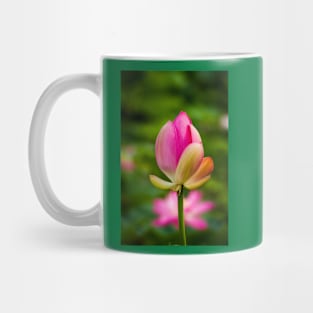 Lotus bud Mug